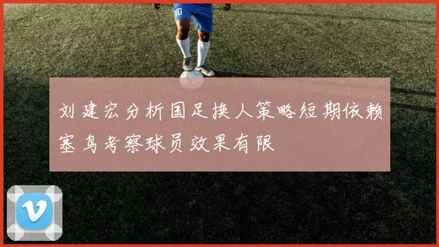 刘建宏分析国足换人策略短期依赖塞鸟考察球员效果有限