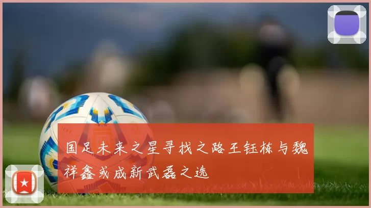 国足未来之星寻找之路王钰栋与魏祥鑫或成新武磊之选