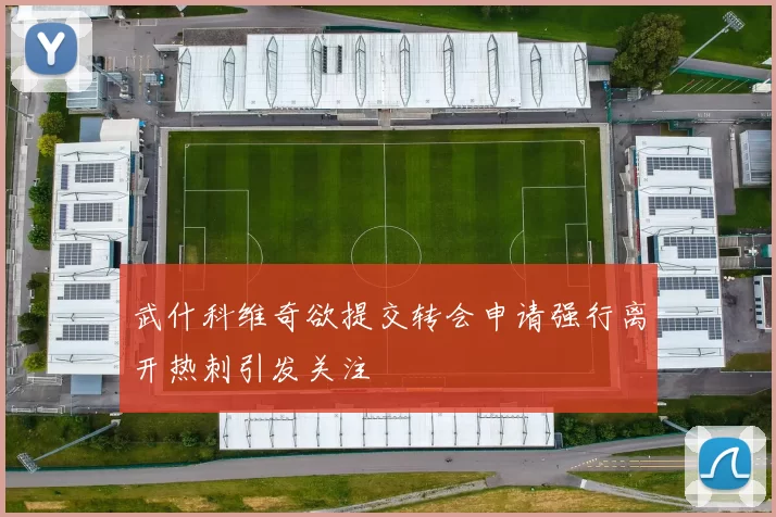武什科维奇欲提交转会申请强行离开热刺引发关注