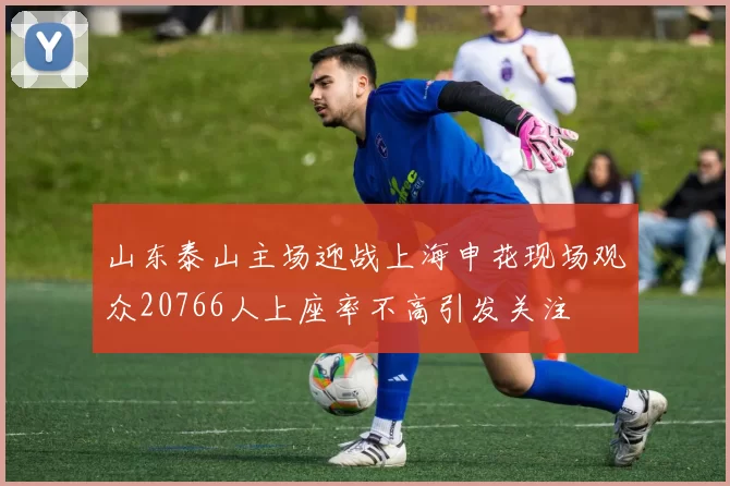 山东泰山主场迎战上海申花现场观众20766人上座率不高引发关注